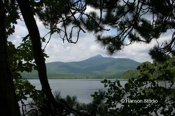 Mt. Chocorua, NH - Through the Pines